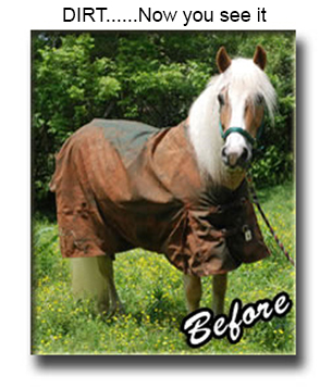 Dirty Horse Blanket